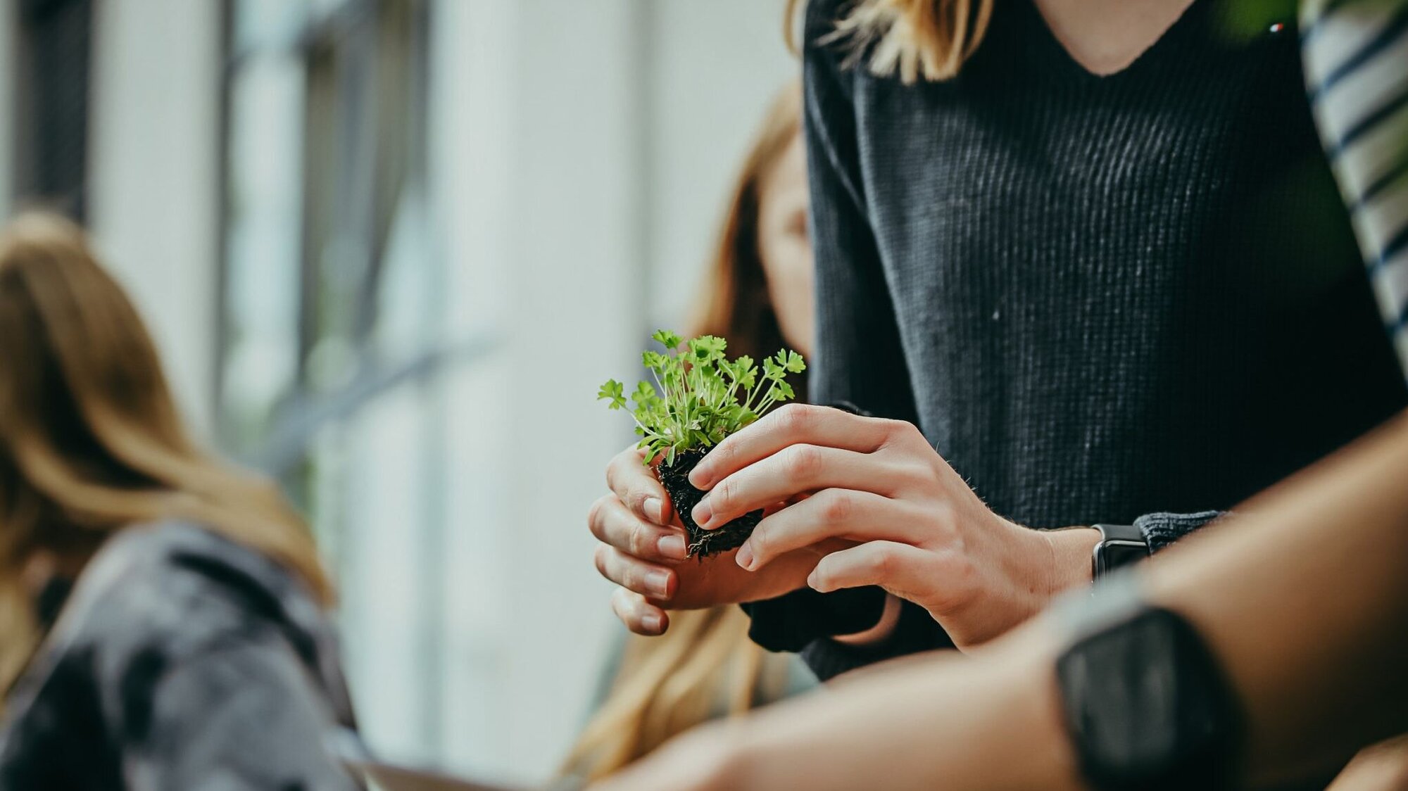 Office Gardening: Ackerpause-Projekt bei der Thieme