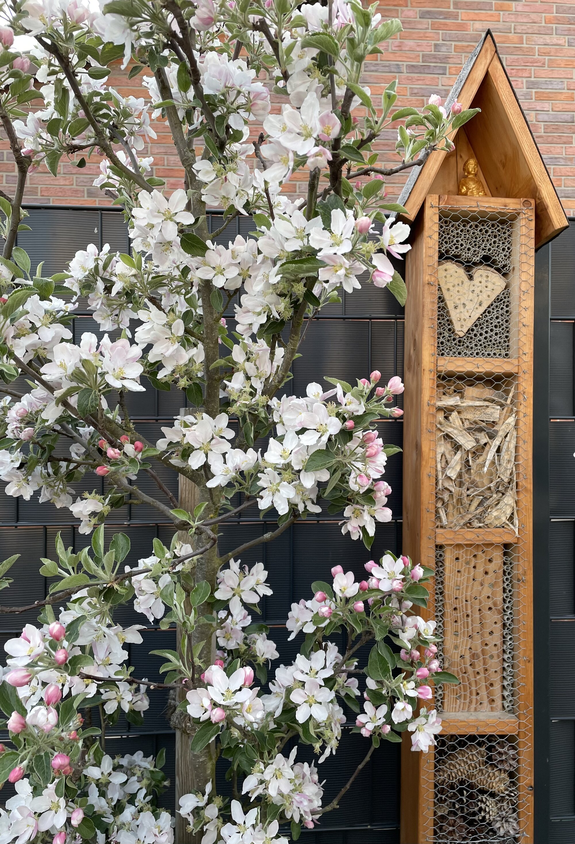 Insektenhotel an Kirschbaum