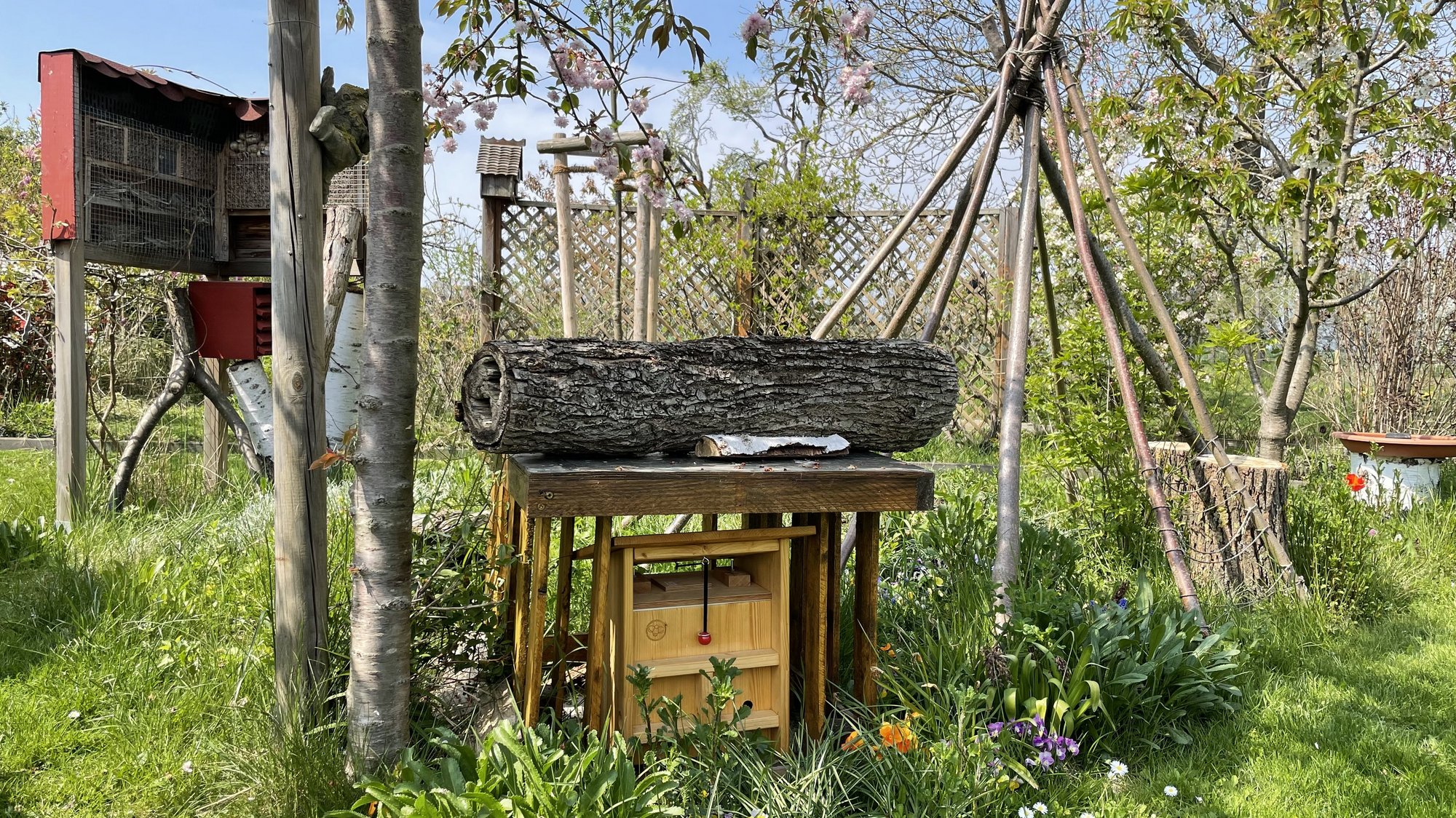 Insektenhotels im Garten mit Totholz