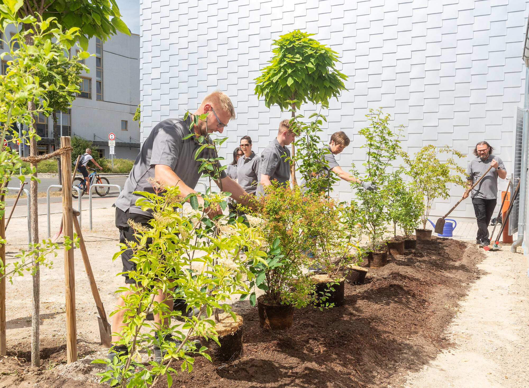 Heckenbepflanzung vor dem WNT
