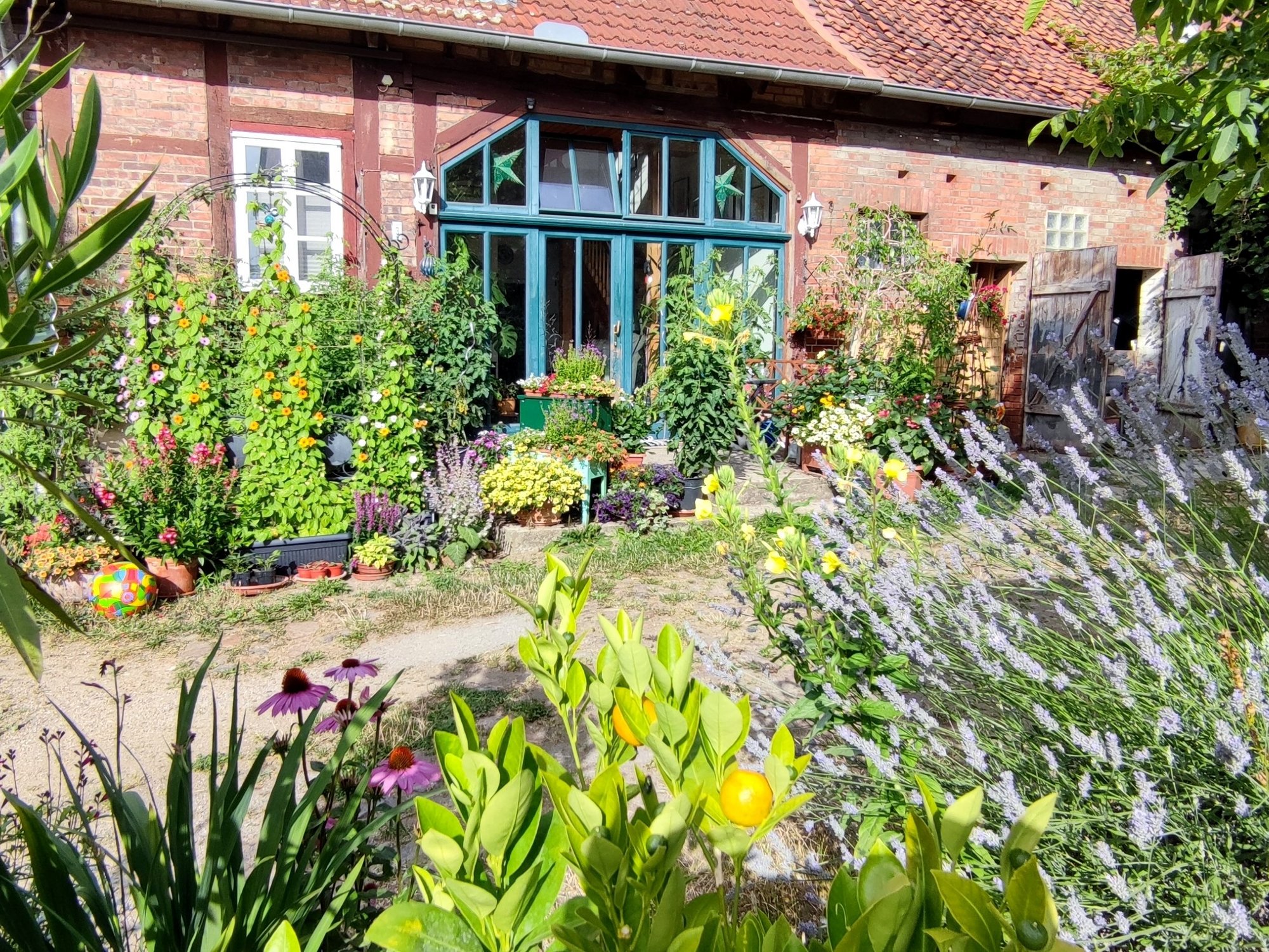 Landhaus mit Blumenwiese