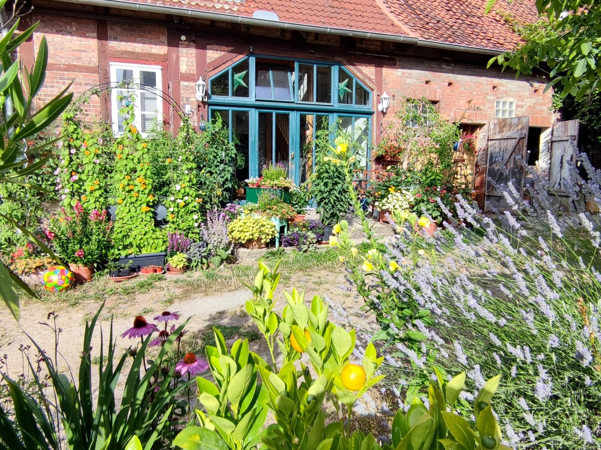 Landhaus mit Blumenwiese