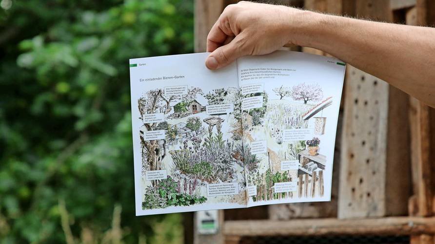 Skizze, wie der Garten insektenfreundlich gestaltet werden kann.