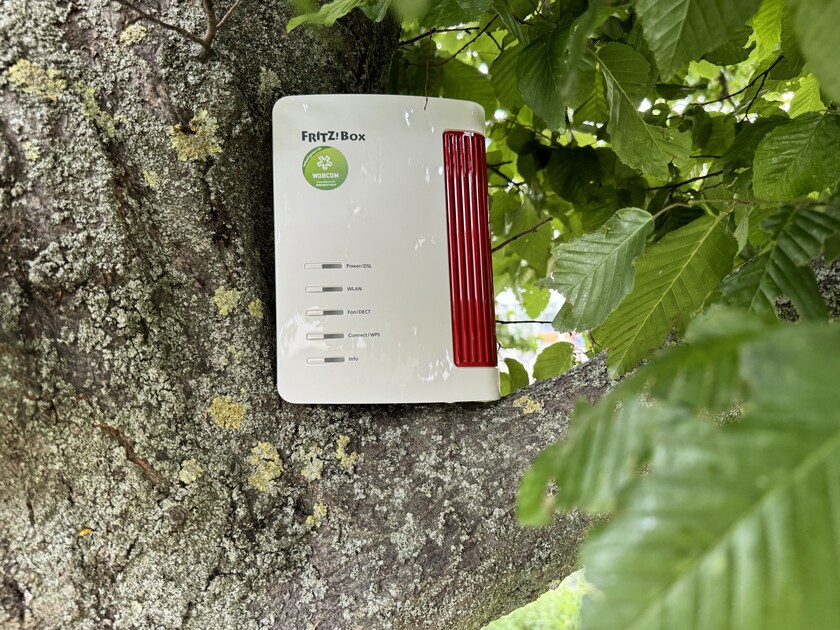 Router ist auf einem Baumstamm 