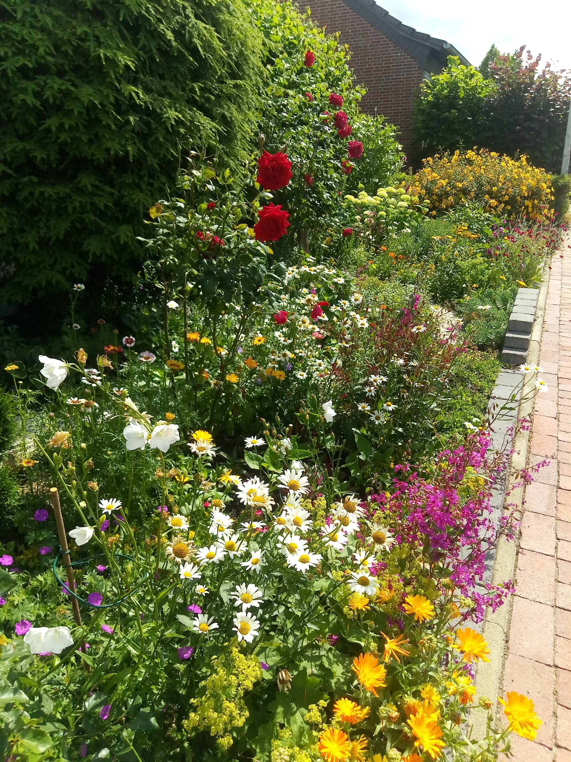 Blumenwiese am Hauseingang