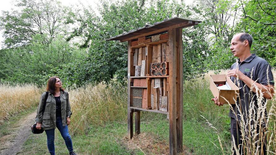 Stadtförster erläutert das Bienenhotel beim Spaziergang auf dem Klieversberg