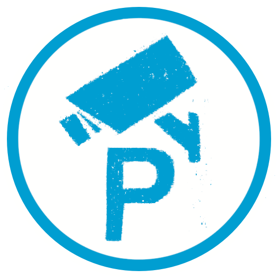 Smart Parking Icon